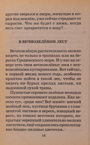 Лесная газета