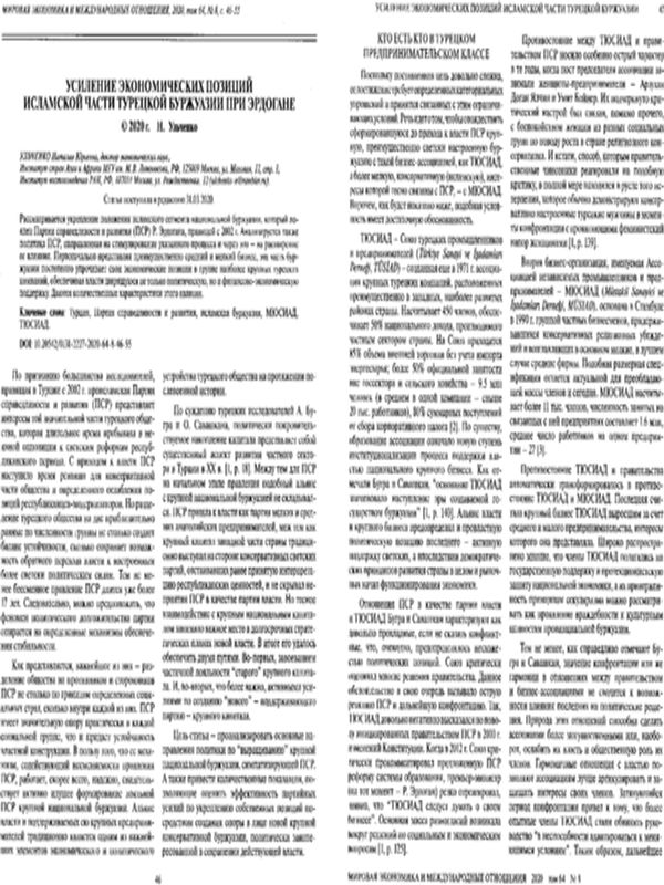 Усиление экономических позиций исламской части турецкой буржуазии при Эрдогане