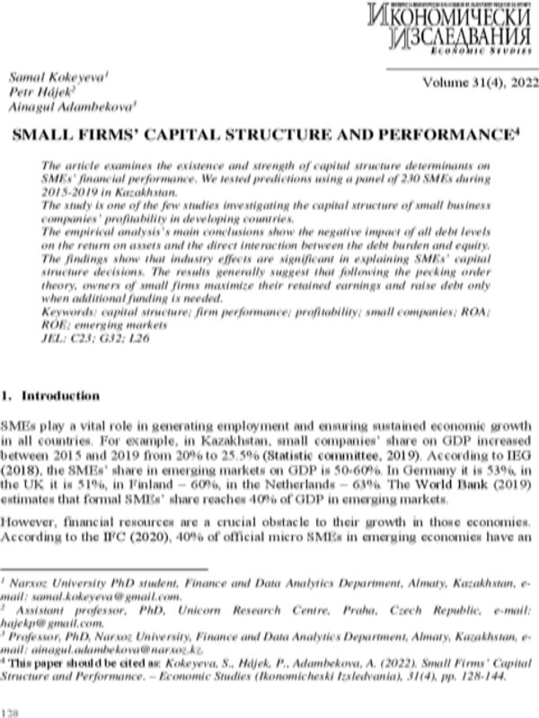 Small Firms' Capital Structure and Performance