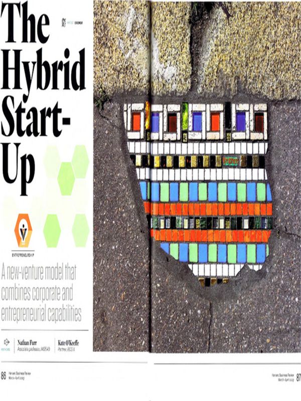 The Hybrid Start-Up