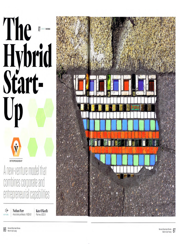 The Hybrid Start-Up