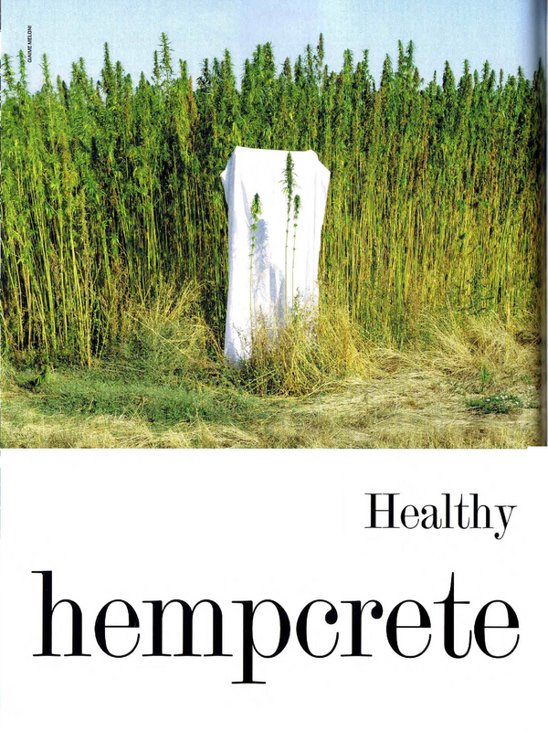 Healthy hempcrete