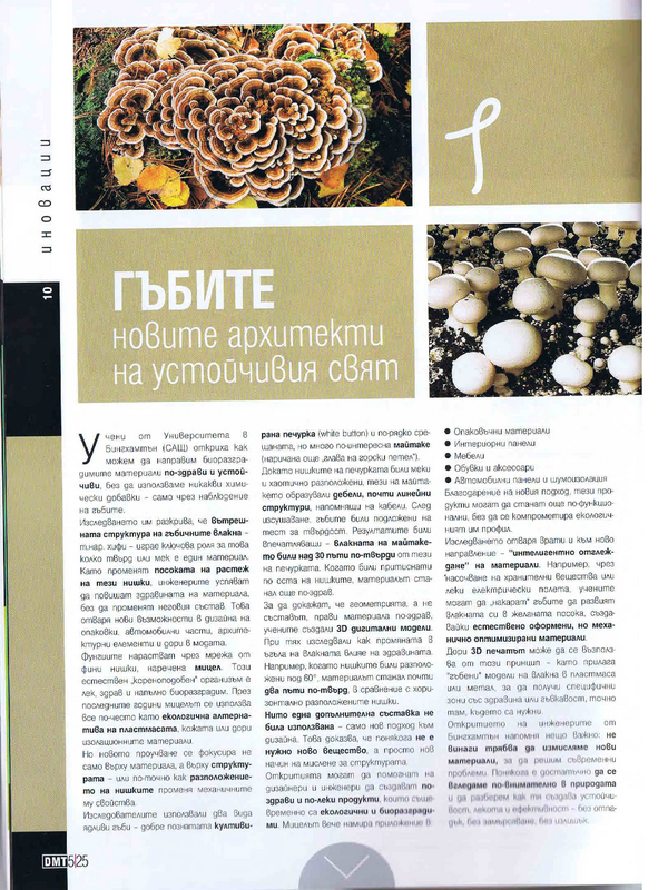 Гъбите- новите архитекти на устойчивия свят