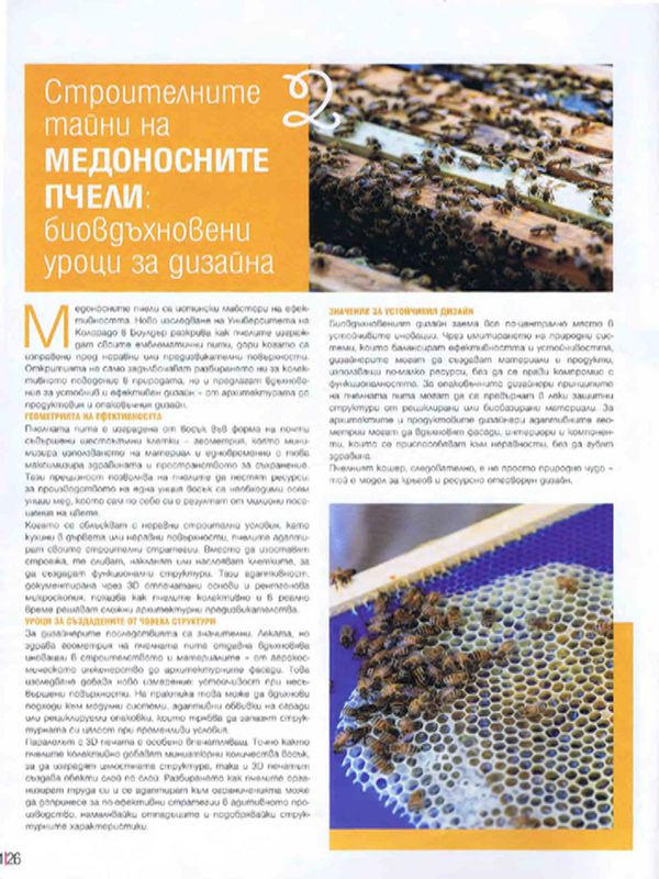 Строителните тайни на медоносните пчели: биовдъхновени уроци за дизайна