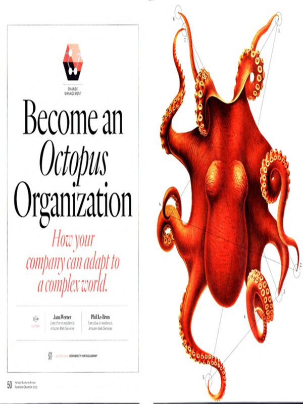 Become an Octopus Organization
