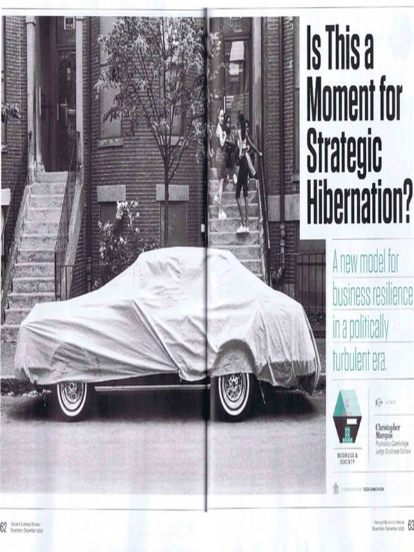 Is This a Moment for Strategic Hibernation?